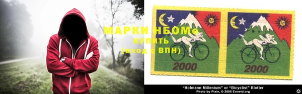 стаф Алексин