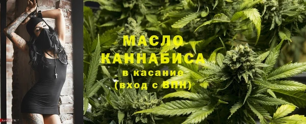 соль ск Каменка