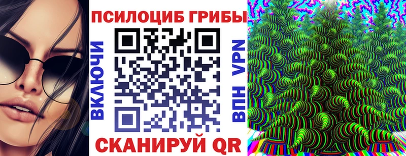 купить закладку  Гусиноозёрск  Псилоцибиновые грибы Magic Shrooms 